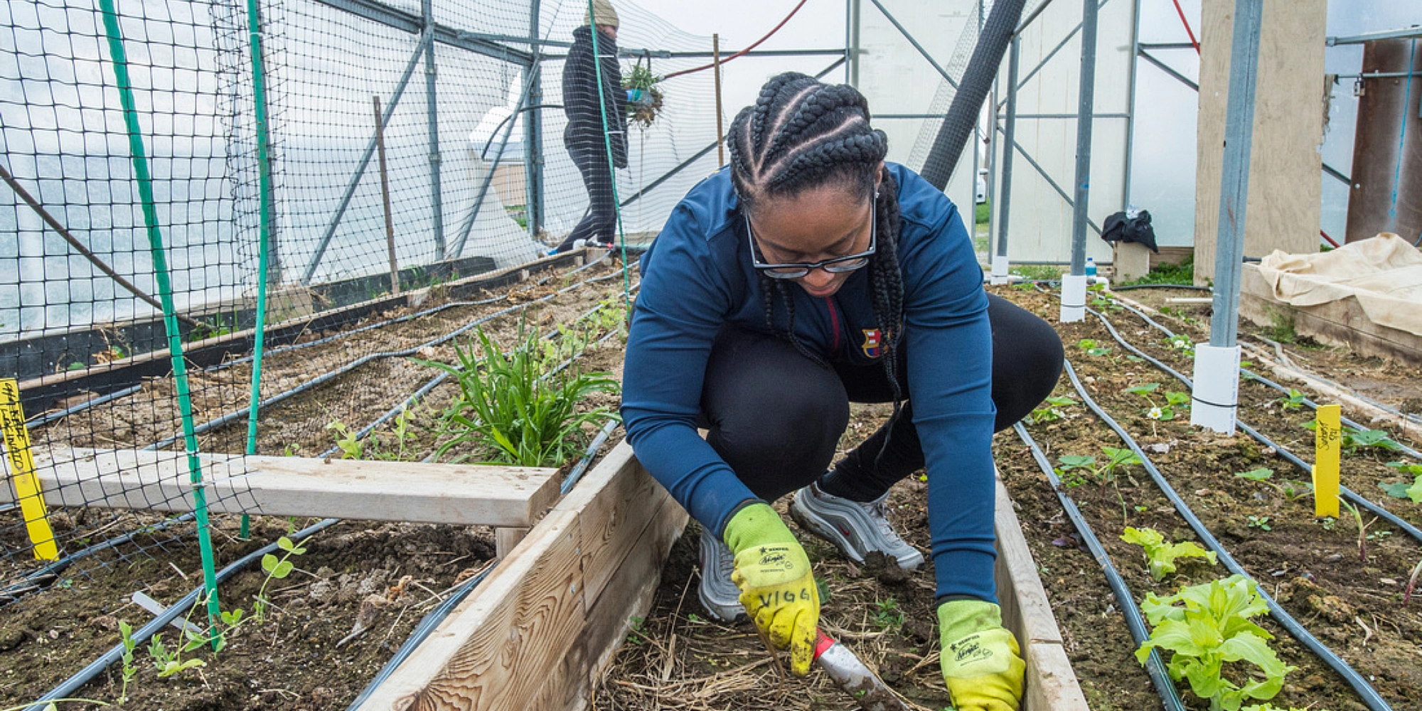 student removing weeds from garden