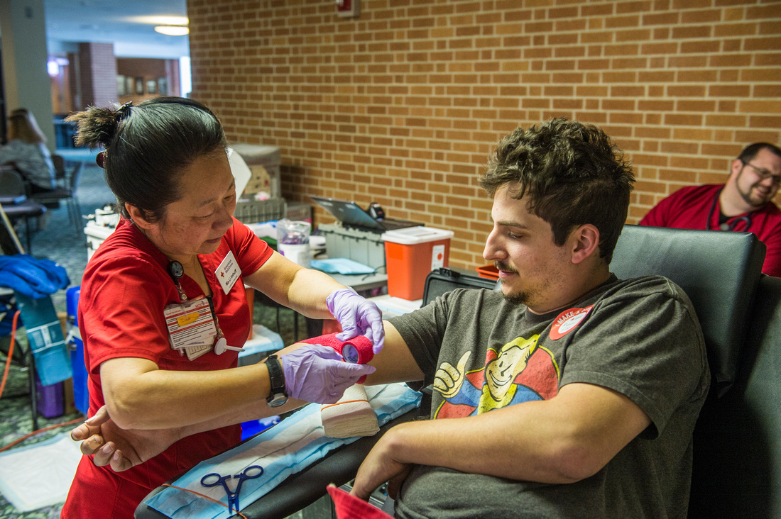 Salukis Volunteering 